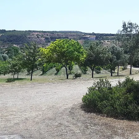 Pala Venalza *