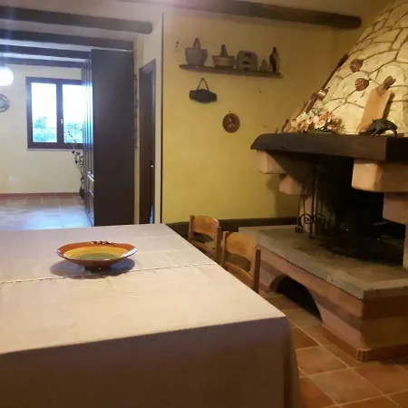 Pala Venalza Olmedo